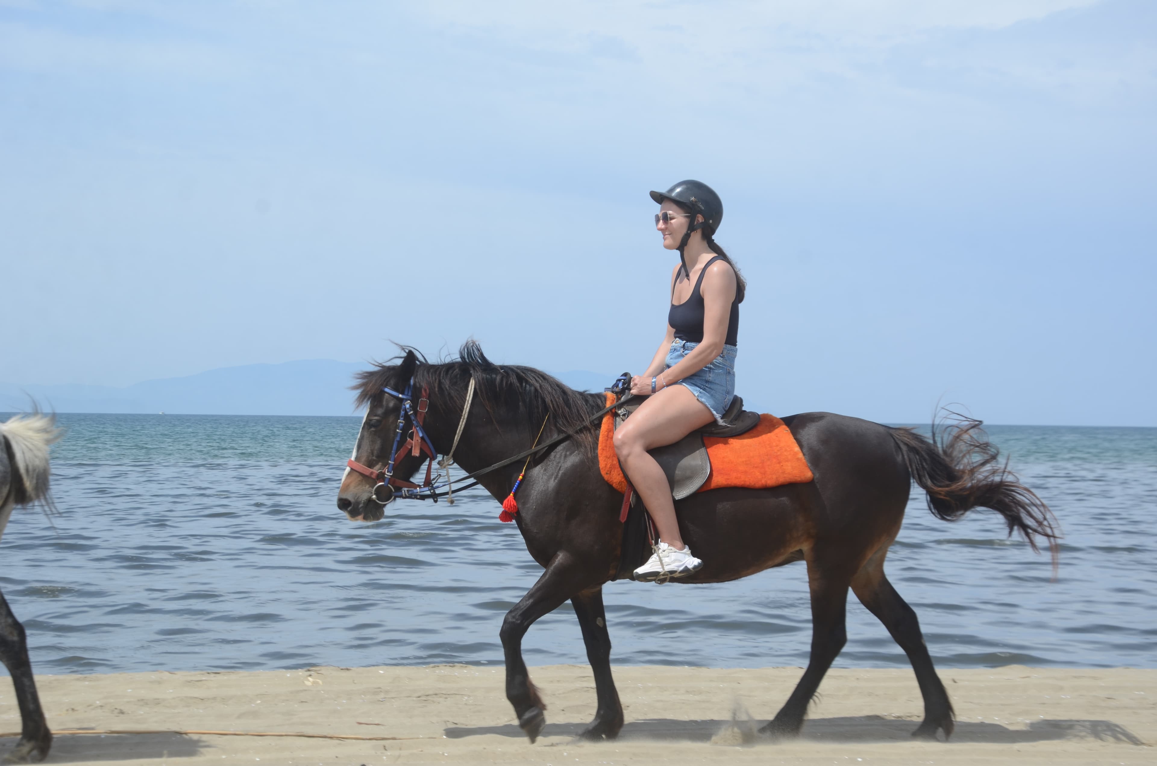 Horse Safari